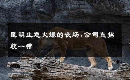 昆明生意火爆的夜场,公司直招统一带 