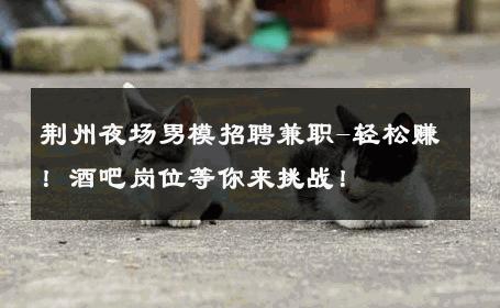荆州夜场男模招聘兼职-轻松赚！酒吧岗位等你来挑战！ 