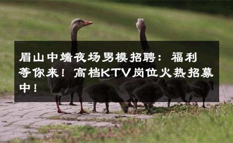 眉山中端夜场男模招聘：福利等你来！高档KTV岗位火热招募中！ 
