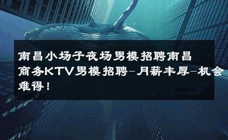 南昌小场子夜场男模招聘南昌商务KTV男模招聘-月薪丰厚-机会难得！ 