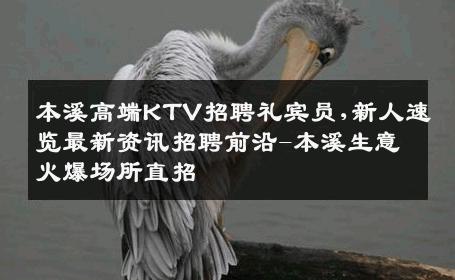 本溪高端KTV招聘礼宾员,新人速览最新资讯招聘前沿-本溪生意火爆场所直招