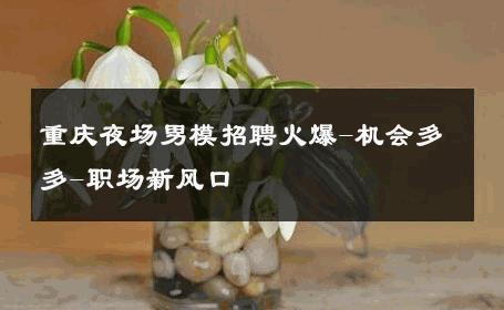 重庆夜场男模招聘火爆-机会多多-职场新风口 