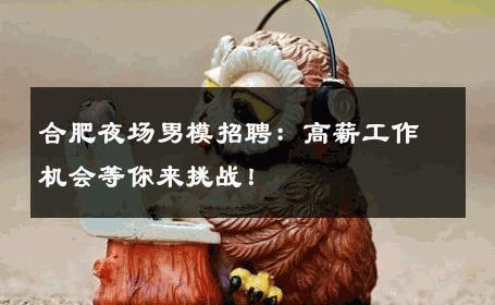 合肥夜场男模招聘：高薪工作机会等你来挑战！ 