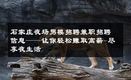 石家庄夜场男模招聘兼职招聘信息——让你轻松赚取高薪-尽享夜生活 