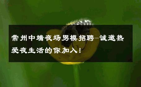 常州中端夜场男模招聘-诚邀热爱夜生活的你加入！ 