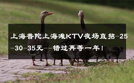 上海普陀上海滩KTV夜场直招-25-30-35元--错过再等一年！ 