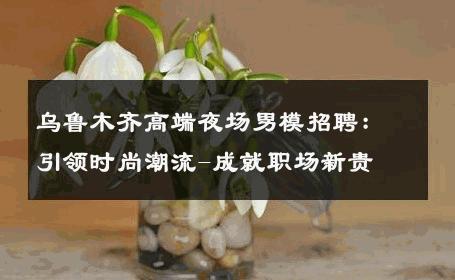 乌鲁木齐高端夜场男模招聘：引领时尚潮流-成就职场新贵 