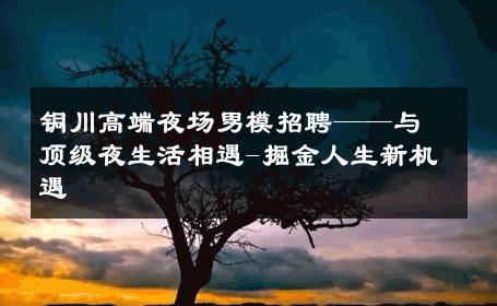 铜川高端夜场男模招聘——与顶级夜生活相遇-掘金人生新机遇 