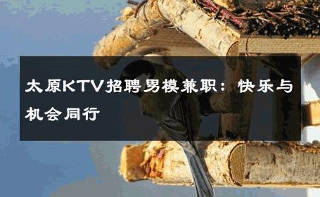 太原KTV招聘男模兼职：快乐与机会同行 