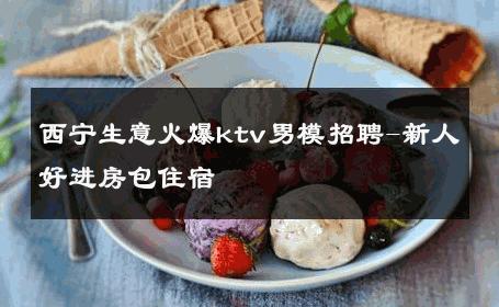 西宁生意火爆ktv男模招聘-新人好进房包住宿 