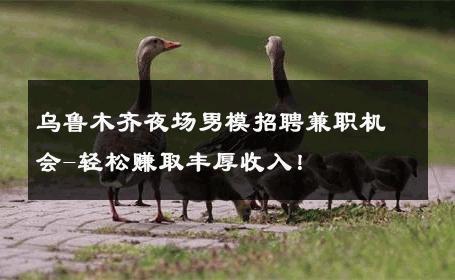 乌鲁木齐夜场男模招聘兼职机会-轻松赚取丰厚收入！ 
