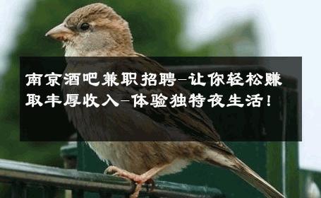 南京酒吧兼职招聘-让你轻松赚取丰厚收入-体验独特夜生活！ 