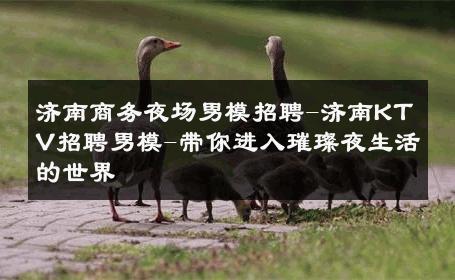 济南商务夜场男模招聘-济南KTV招聘男模-带你进入璀璨夜生活的世界 