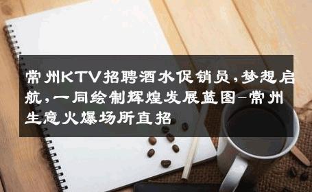 常州KTV招聘酒水促销员,梦想启航,一同绘制辉煌发展蓝图-常州生意火爆场所直招