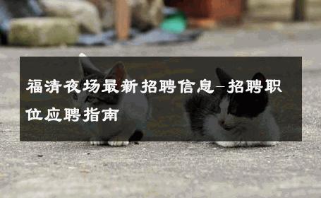 福清夜场最新招聘信息-招聘职位应聘指南 