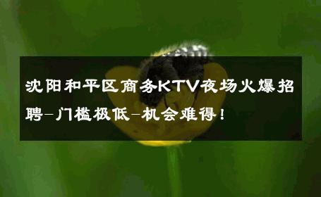 沈阳和平区商务KTV夜场火爆招聘-门槛极低-机会难得！ 