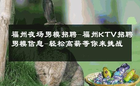 福州夜场男模招聘-福州KTV招聘男模信息-轻松高薪等你来挑战 