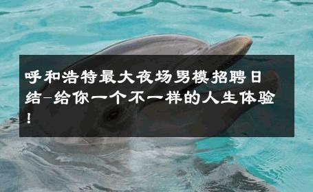 呼和浩特最大夜场男模招聘日结-给你一个不一样的人生体验！ 