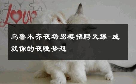 乌鲁木齐夜场男模招聘火爆-成就你的夜晚梦想 