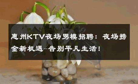 惠州KTV夜场男模招聘：夜场捞金新机遇-告别平凡生活！ 