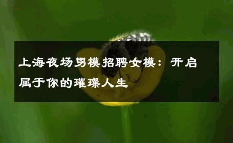 上海夜场男模招聘女模：开启属于你的璀璨人生 
