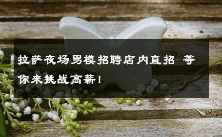 拉萨夜场男模招聘店内直招-等你来挑战高薪！ 