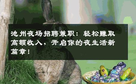 池州夜场招聘兼职：轻松赚取高额收入，开启你的夜生活新篇章！