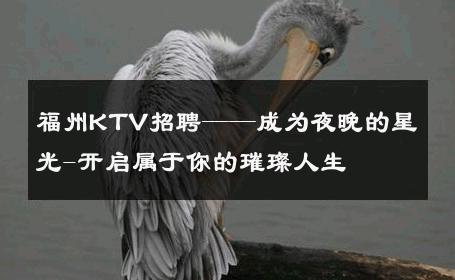 福州KTV招聘——成为夜晚的星光-开启属于你的璀璨人生 