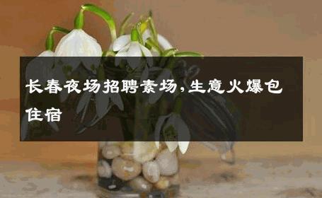 长春夜场招聘素场,生意火爆包住宿 