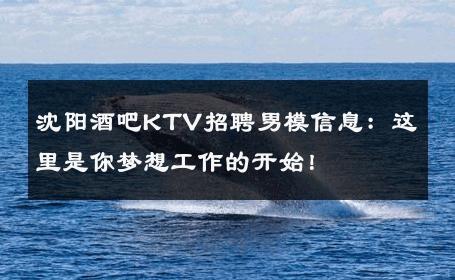 沈阳酒吧KTV招聘男模信息：这里是你梦想工作的开始！ 