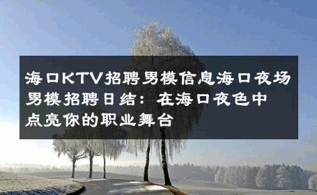 海口KTV招聘男模信息海口夜场男模招聘日结：在海口夜色中点亮你的职业舞台 