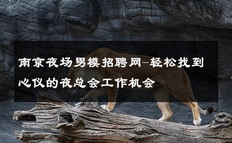 南京夜场男模招聘网-轻松找到心仪的夜总会工作机会 