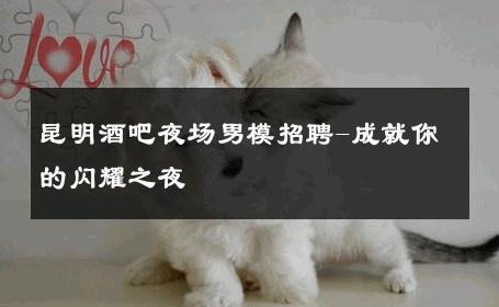 昆明酒吧夜场男模招聘-成就你的闪耀之夜 