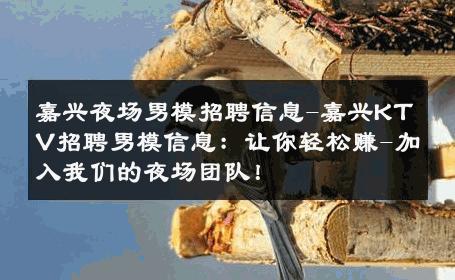 嘉兴夜场男模招聘信息-嘉兴KTV招聘男模信息：让你轻松赚-加入我们的夜场团队！ 