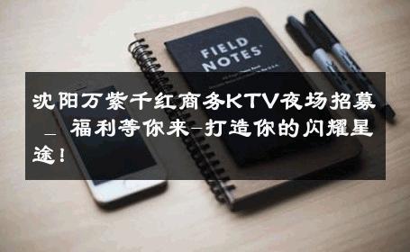 沈阳万紫千红商务KTV夜场招募 _ 福利等你来-打造你的闪耀星途！ 