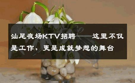 汕尾夜场KTV招聘——这里不仅是工作，更是成就梦想的舞台