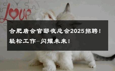 合肥唐会官邸夜总会2025招聘！轻松工作-闪耀未来！ 
