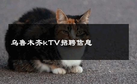 乌鲁木齐kTV招聘信息 