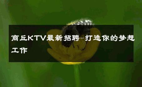 商丘KTV最新招聘-打造你的梦想工作 