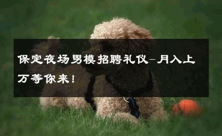 保定夜场男模招聘礼仪-月入上万等你来！ 