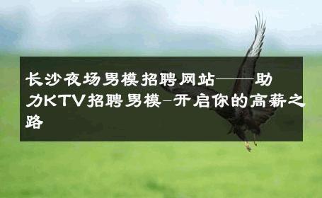 长沙夜场男模招聘网站——助力KTV招聘男模-开启你的高薪之路 