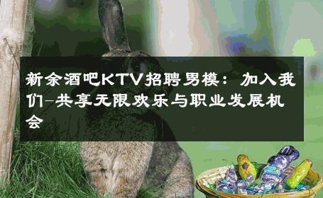 新余酒吧KTV招聘男模：加入我们-共享无限欢乐与职业发展机会 