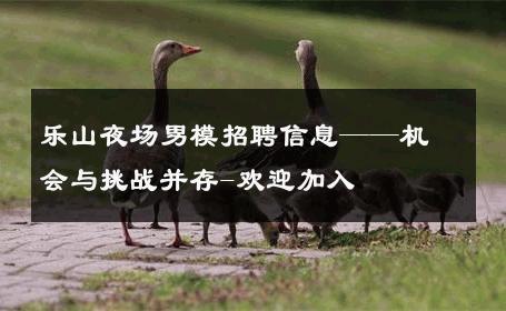 乐山夜场男模招聘信息——机会与挑战并存-欢迎加入 