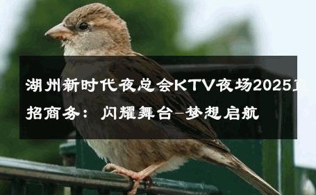 湖州新时代夜总会KTV夜场2025直招商务：闪耀舞台-梦想启航 