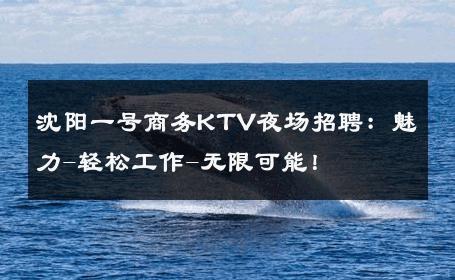 沈阳一号商务KTV夜场招聘：魅力-轻松工作-无限可能！ 