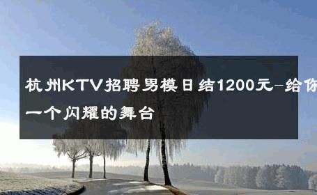 杭州KTV招聘男模日结1200元-给你一个闪耀的舞台 