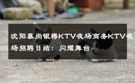 沈阳慕尚银樽KTV夜场商务KTV夜场招聘日结：闪耀舞台- 