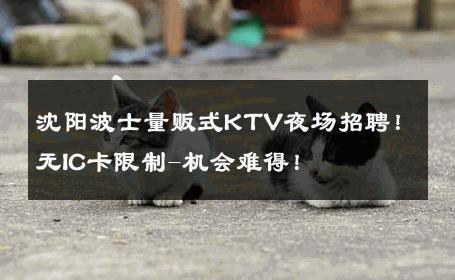沈阳波士量贩式KTV夜场招聘！无IC卡限制-机会难得！ 