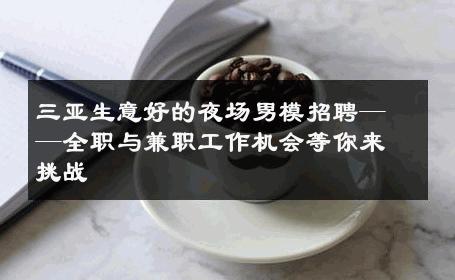 三亚生意好的夜场男模招聘——全职与兼职工作机会等你来挑战 