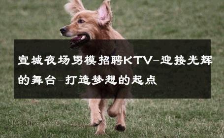 宣城夜场男模招聘KTV-迎接光辉的舞台-打造梦想的起点 